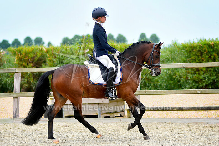 2019-06-10 Stad aan 't Haringvliet