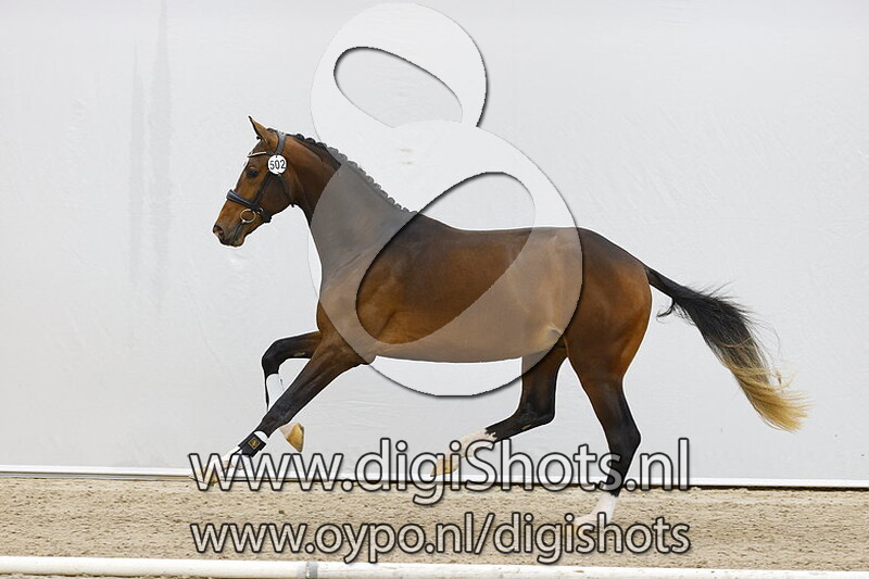 Nadal v. James Bond x Uphill