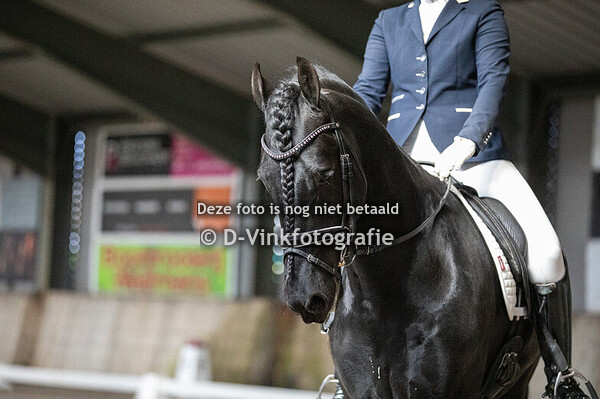Denise Speelpenning - Olke fan de Poortershoek