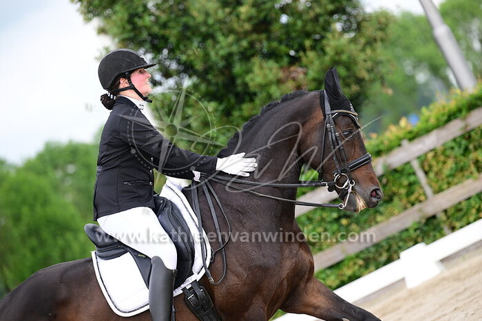 Wendy de Wit - Marigold