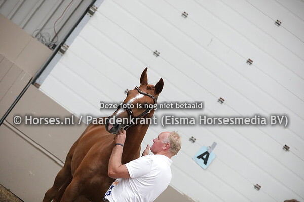 53 Lovelyvanck (De Niro x demivanck v. Painted Black) (1)