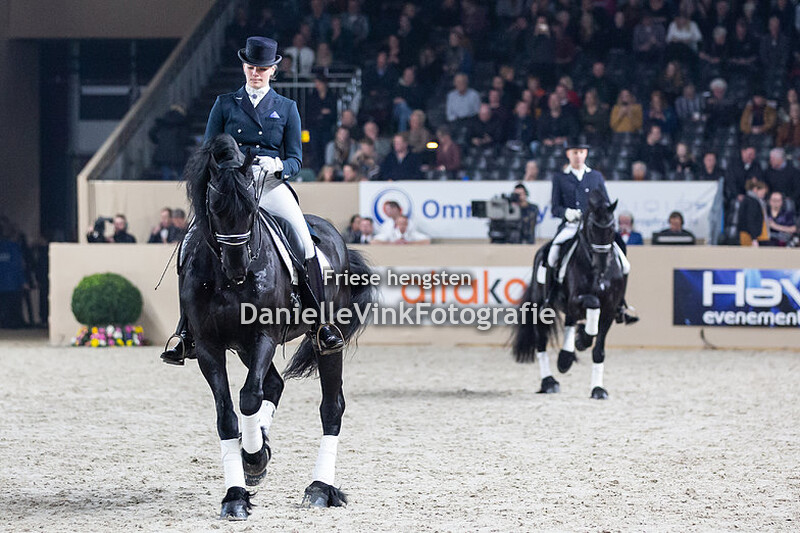 Hengstenkeuring 2020 OHZ Loadewyk 431 Janine Poelstra 