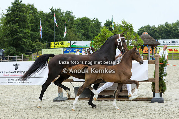11 - Veldine RSH ( Macho x Cizandro )