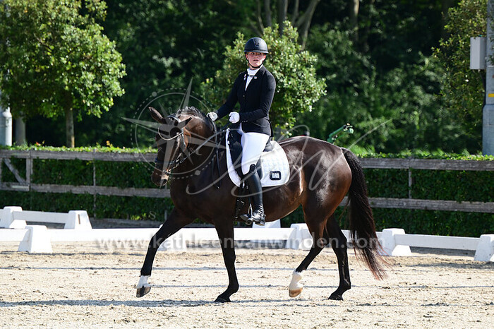 Emma van Buren - Newendy