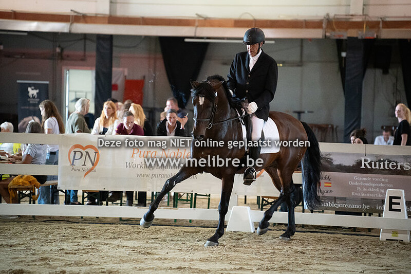 Seccion 12 - Functionalidad