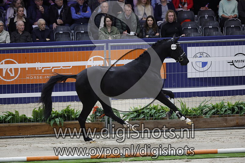 Purple Rain VOD v. Desperado - 319