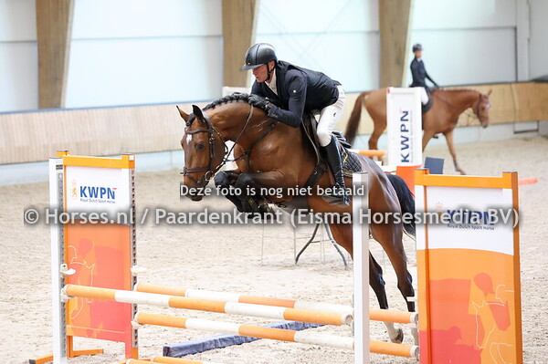 17-11-25 AAnlevering KWPN Springhengsten