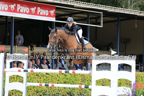 349 Heldorado v Eldorado