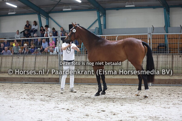 74 O'Fortuna (Comfortuna x Whisper . Wind Dancer)