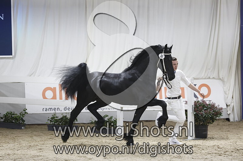 Jasper van de Greephorst v. Alwin 469