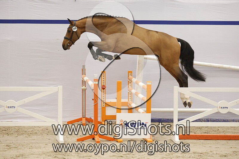 Spindoctor ES v. Luidam