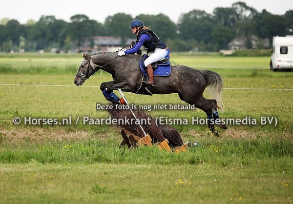 518 Jappeloe (Carrera x Arthos R x Cardento) Thamar Mobach