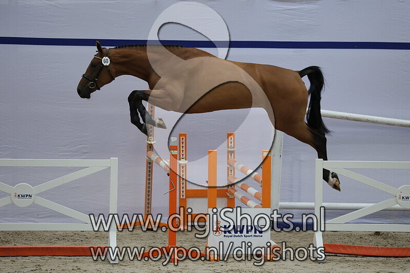 Cest Chery VDL Z v. Chacco Blue