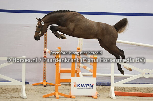 26 (Chaccothage Blue PS x Heart Touch)