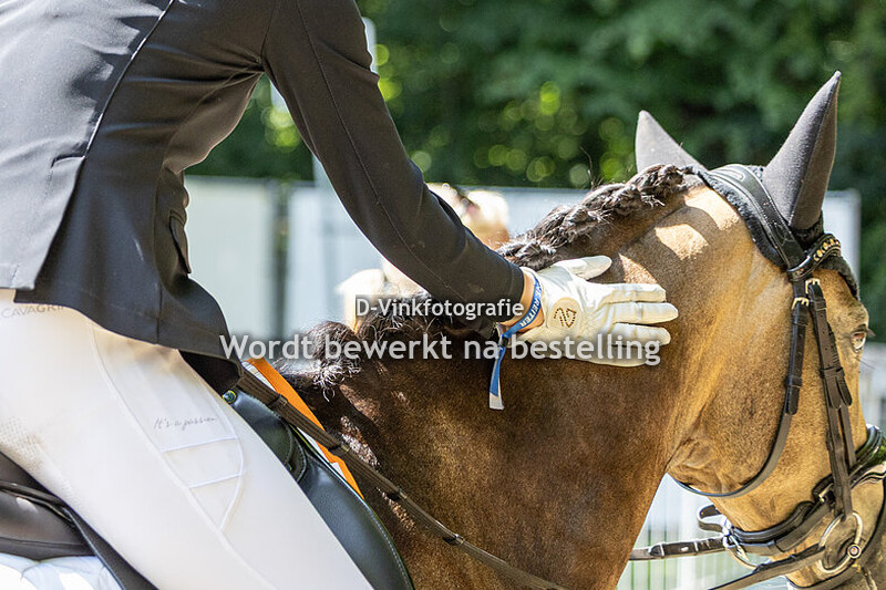 Vive Advocaten Prize - Ponies