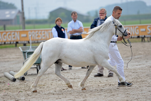 WPCV Zomershow Houten