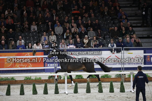 547 Mansion (Totilas x Unassion v. Krack C)