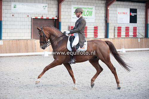 20160306_Oud-Gastel_Subtop