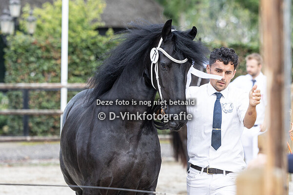 71. Minne fan 't Hoolven