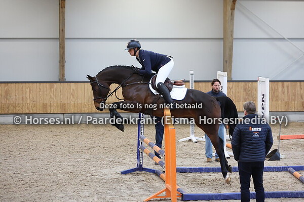 19 R (United Touch x Cash du Plessis)