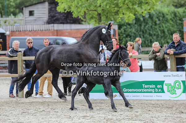 11. Yst van de Maaskanthoeve