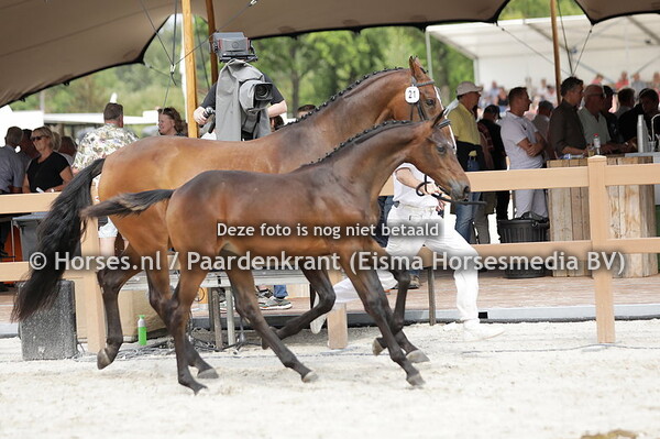 21 Tunanita (Carrera VDL x Hunanita v. Charisma)