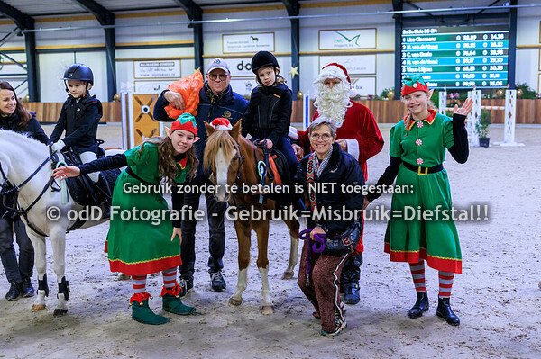 Green Valley Kerst Trophy Bixie 30cm 22-12-24