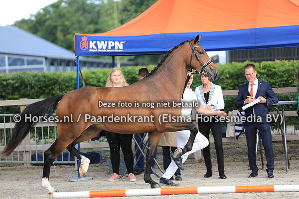 134 Lylou v High Five US