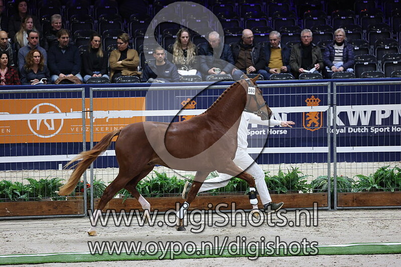 San Antonio v. Ibiza