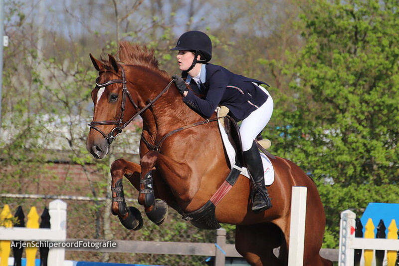 Hippisch Nieuwleusen M