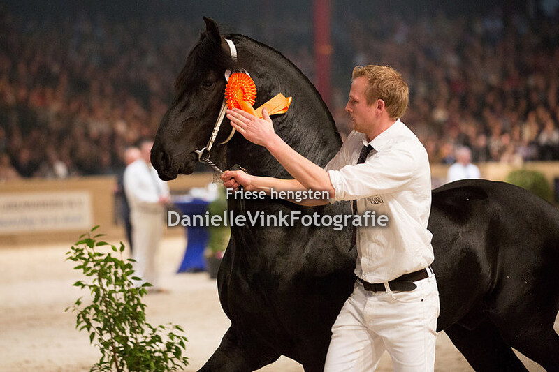 Hengstenkeuring 2018 Nane 492