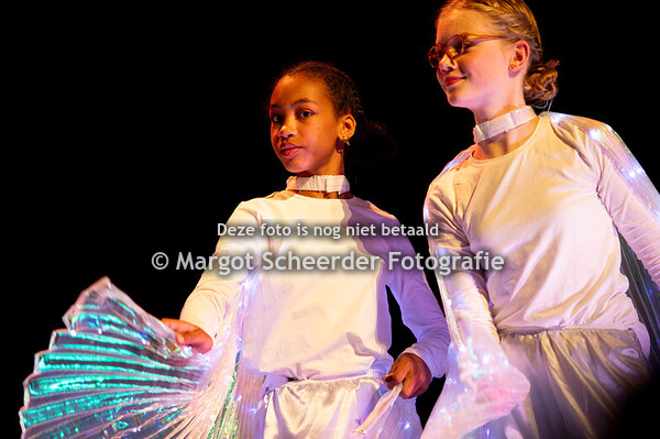 12. Het inheemse volk