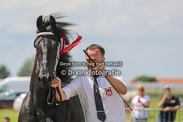 40. Janneke van Schafer