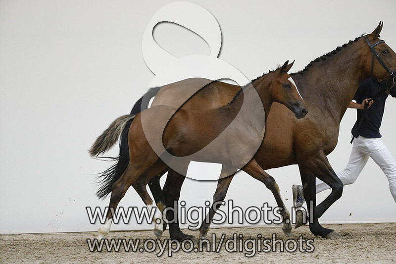 Pacs del Penedes v. Dore van t Zorgvliet