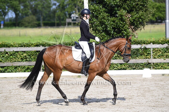 Laura van Welderen - Nikita