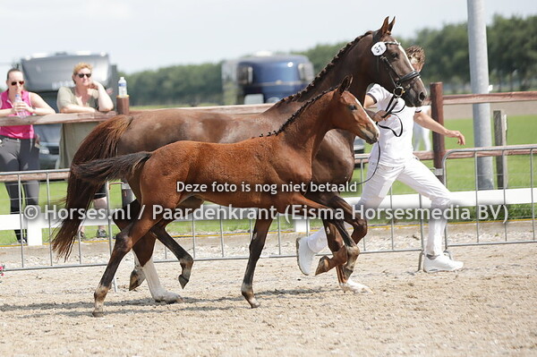 31 So Pure Dior VHD (Furst Dior x Keira Bella LL v. Eye Catcher)