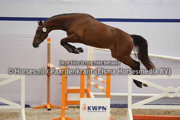 103 (Lord President x  Haarlem)