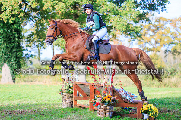 Eventing Diepenheim paard B-intro 19-10-25