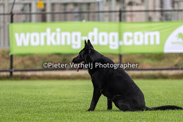 Barbara Matekovic met Vucko Peyotle