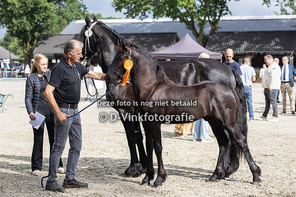 01. Frummel van de Gekahoeve