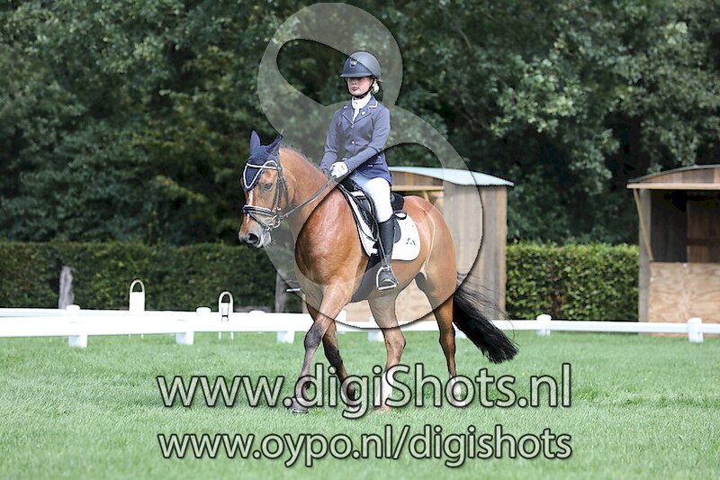 Ring 8 Dressuur Verenigingskampioenschappen