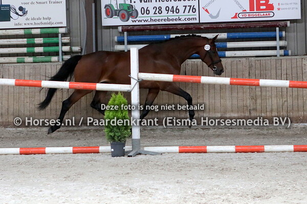 137 Jewel (Bordeaux x Radula v. Inspecteur)