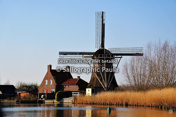 Hollands