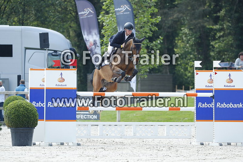 dennis van den brink