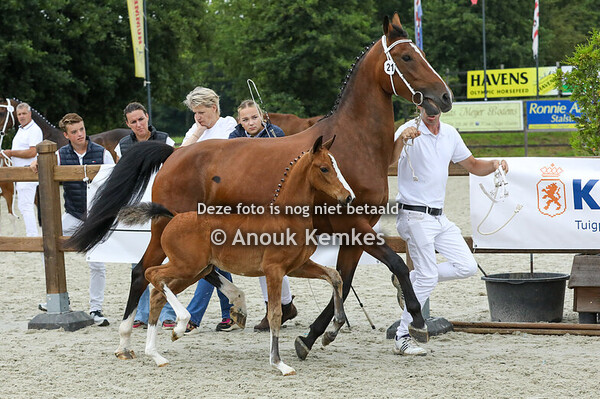 80 - Varola ( Idol x Atleet )