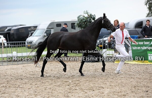 56 Luxury Edition (Furtsenball x Cristal v. Uphill)