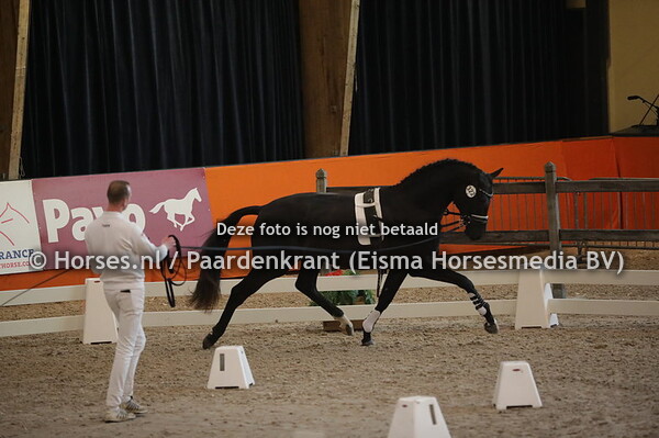 322 Daily Diamond x Apache