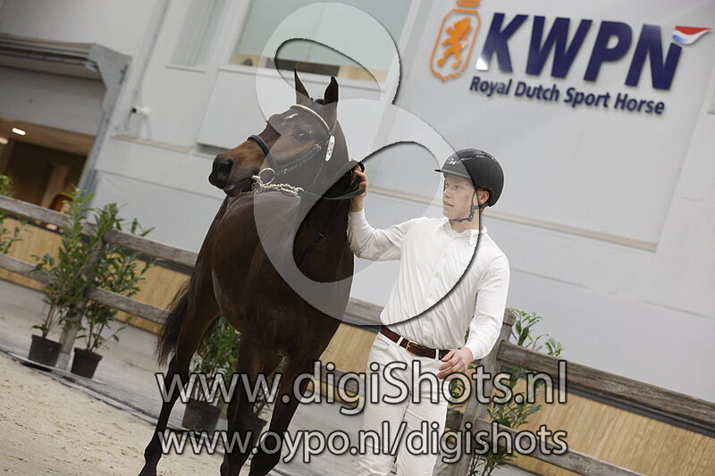 Ramazotti Vd Watermolen v. United Touch S - 149