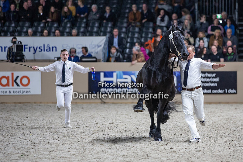 Hengstenkeuring 2020 Erryt 488