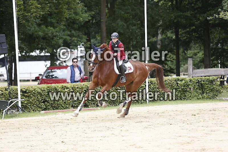 David Gorton - Hulgerth